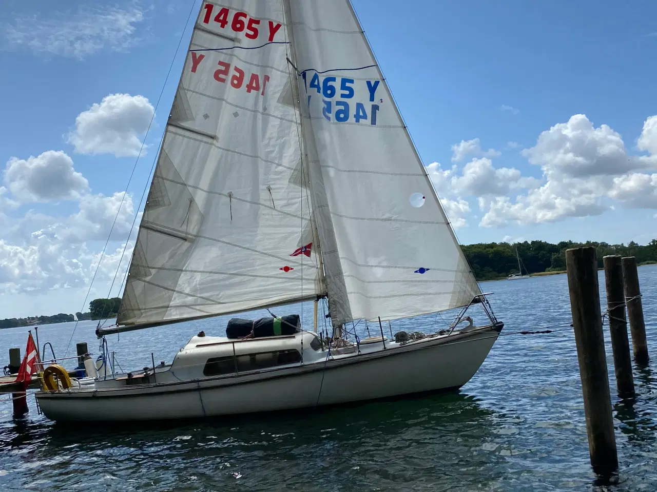 Billede 5 -  Robust Havkrydser 
