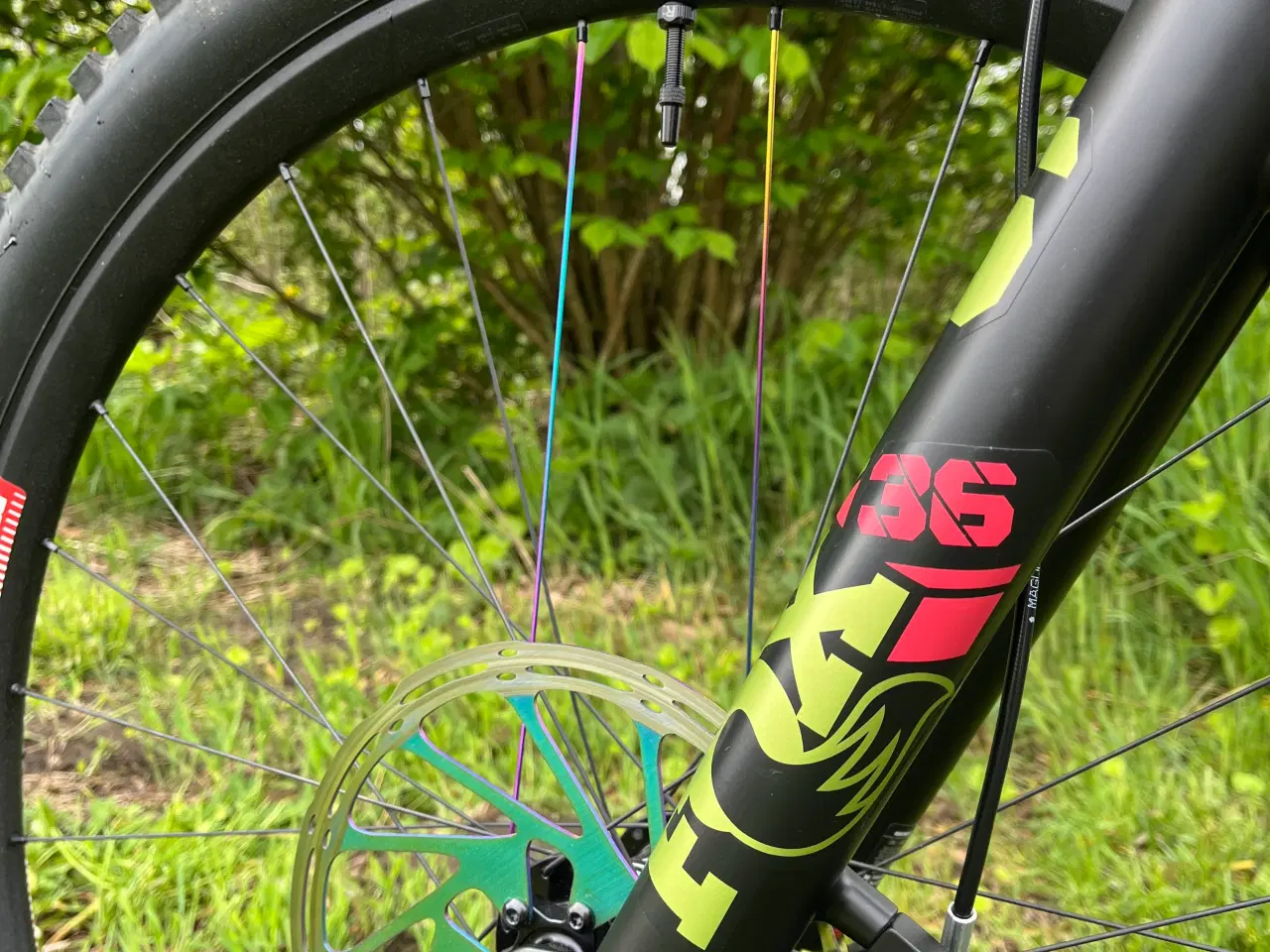 Billede 10 - Forbidden Druid 29 Large