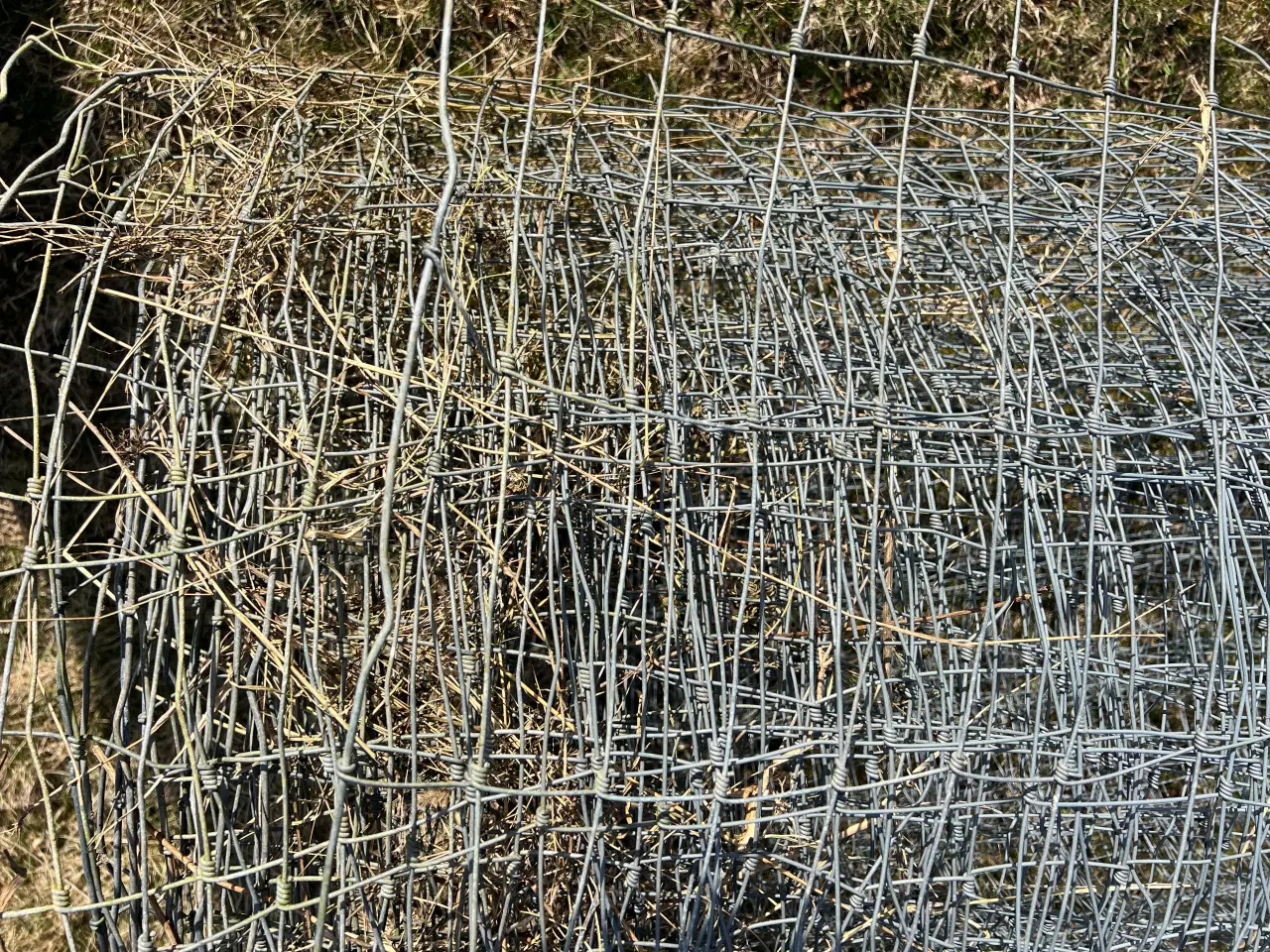 Billede 1 - Vildthegn, ca 400 m, med træpæle, kraftig tråd