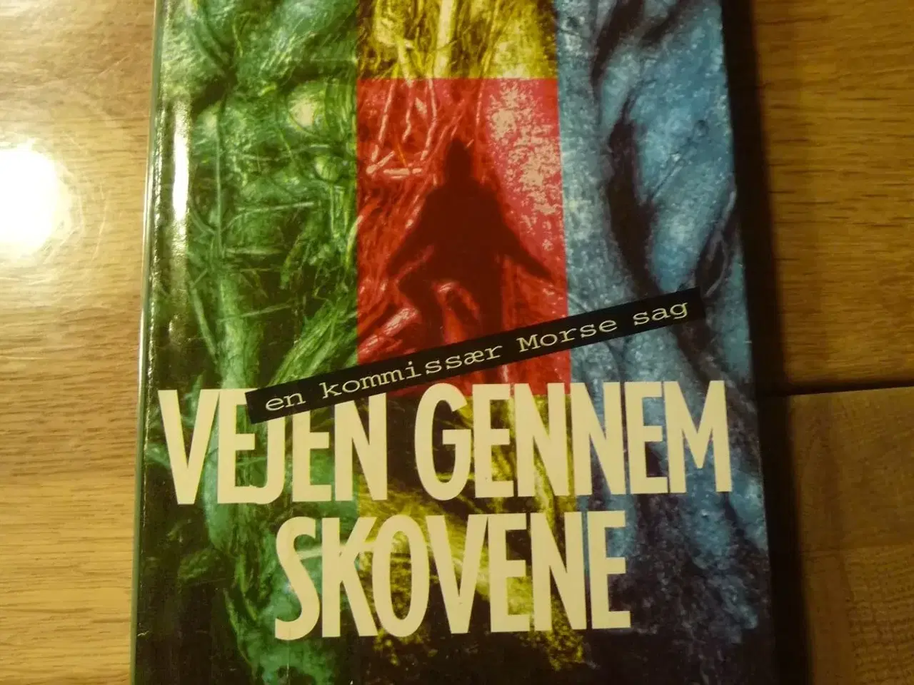 Billede 1 - Vejen gennem skovene