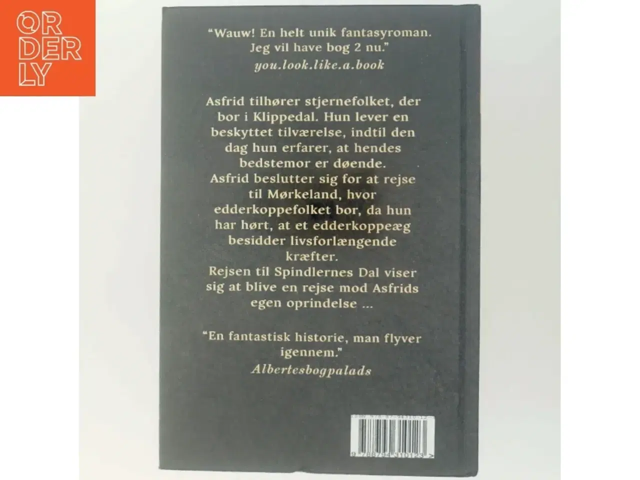 Billede 3 - Asfrid - Spindlernes Dal af Laura Helena Pimentel da Silva (f. 1994) (Bog)