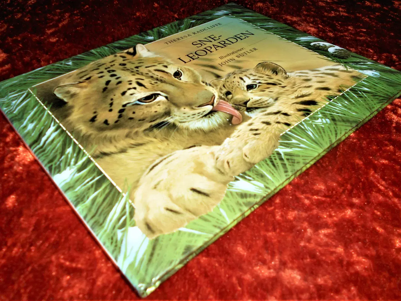 Billede 1 - Sneleoparden, Theresa Radcliffe