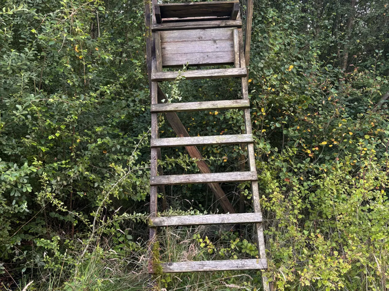 Billede 1 - 3 stk. Skydestiger sælges