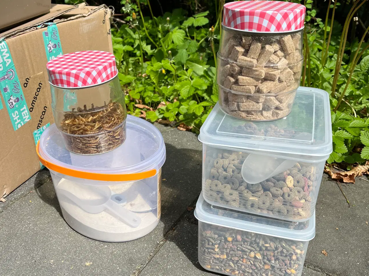 Billede 3 - Hamsterbur inkl tilbehør