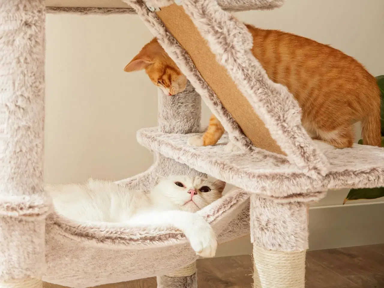 Billede 2 - Kattetræ FEANDREA – kradsetræ med blød beklædning, lys brun, 135 cm