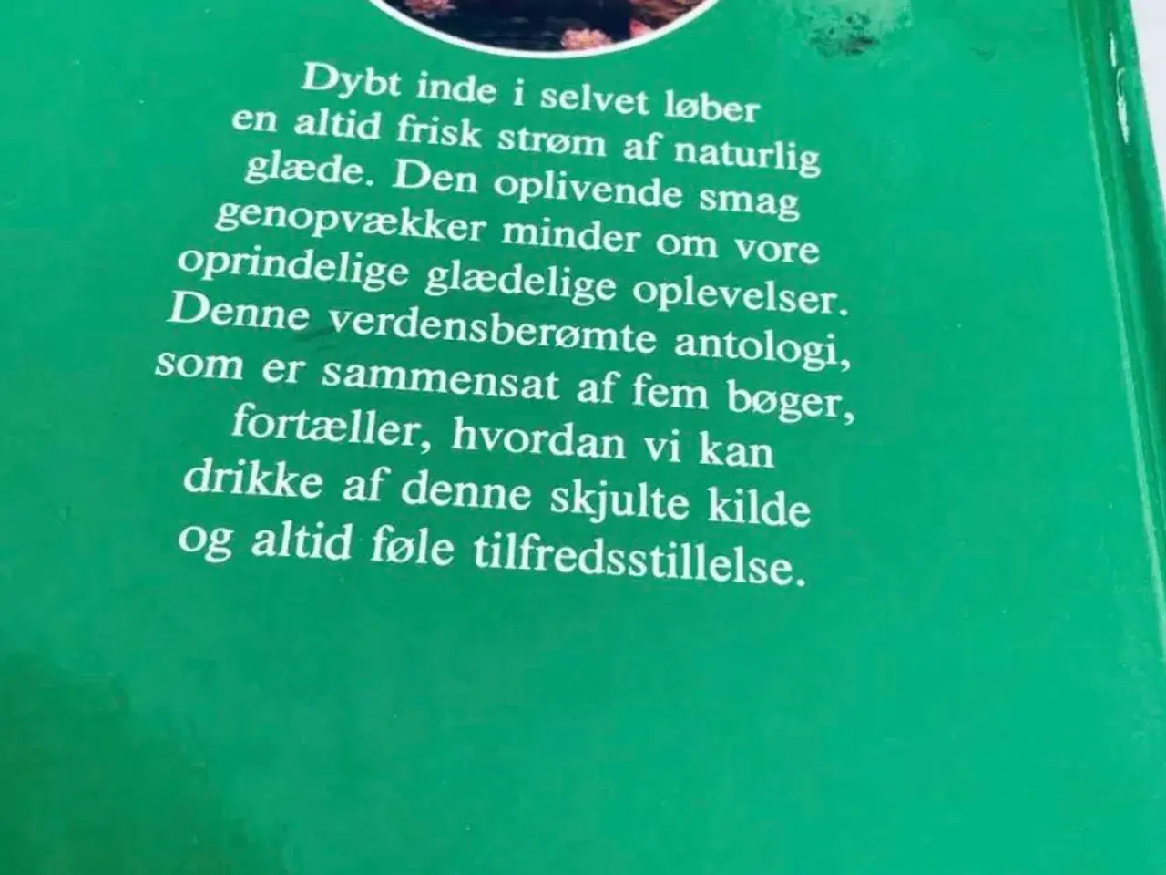 Billede 2 - Naturlig glæde bog 