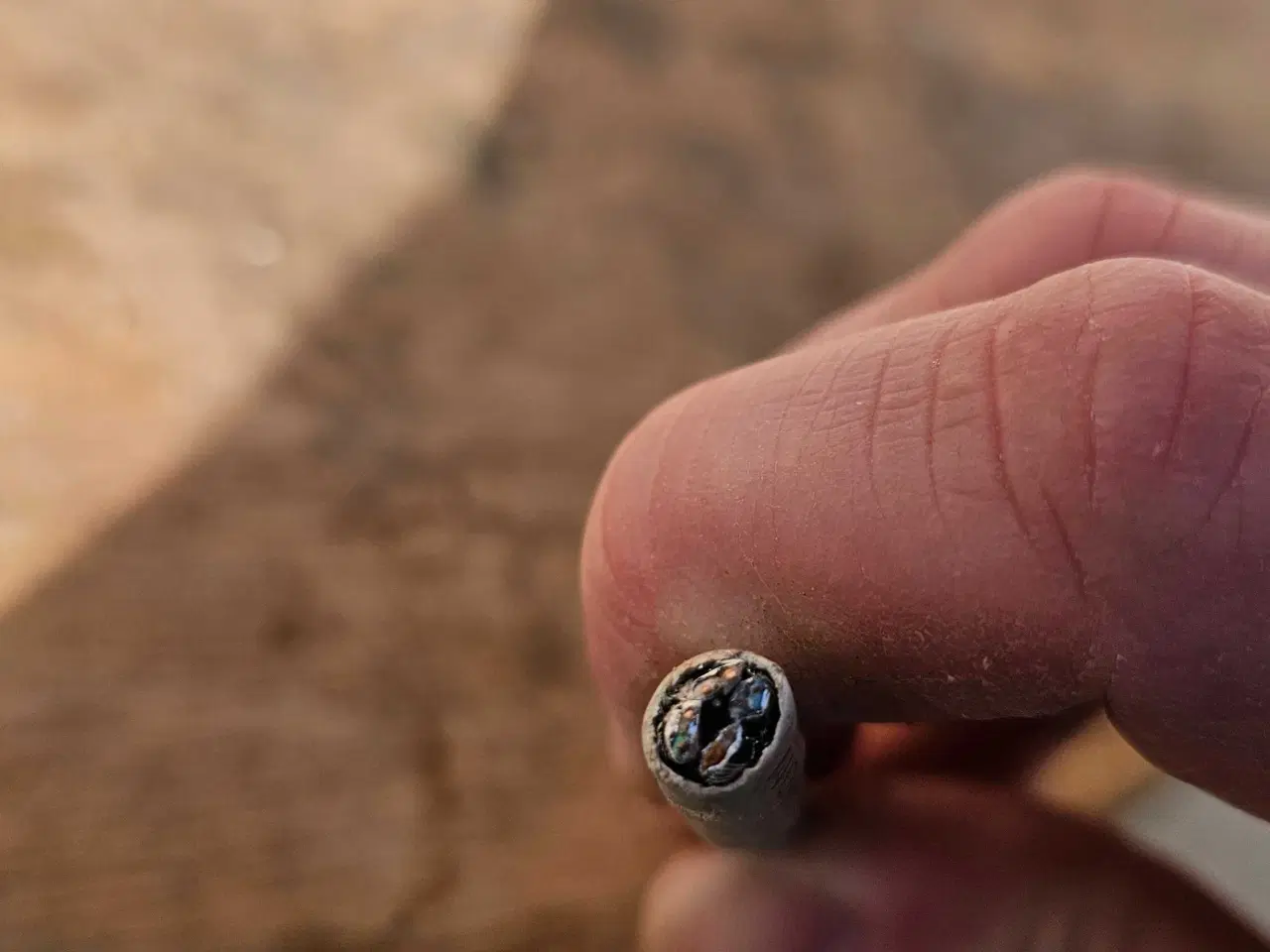 Billede 2 - Cat 6 internet cabel 190m