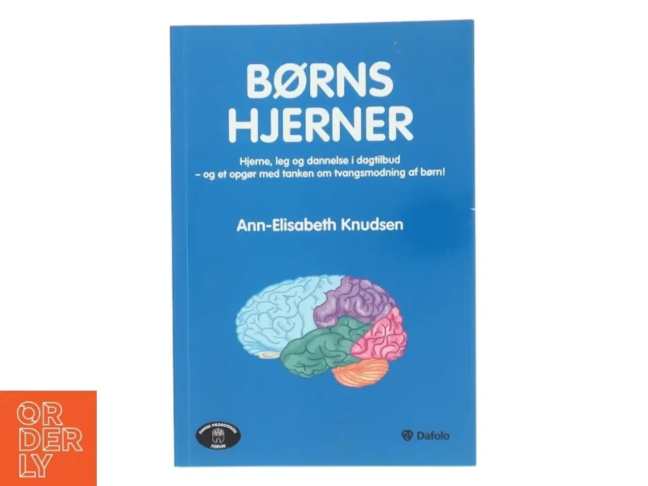 Billede 1 - BØRNS HJERNER af Ann-Elisabeth Knudsen (Bog)