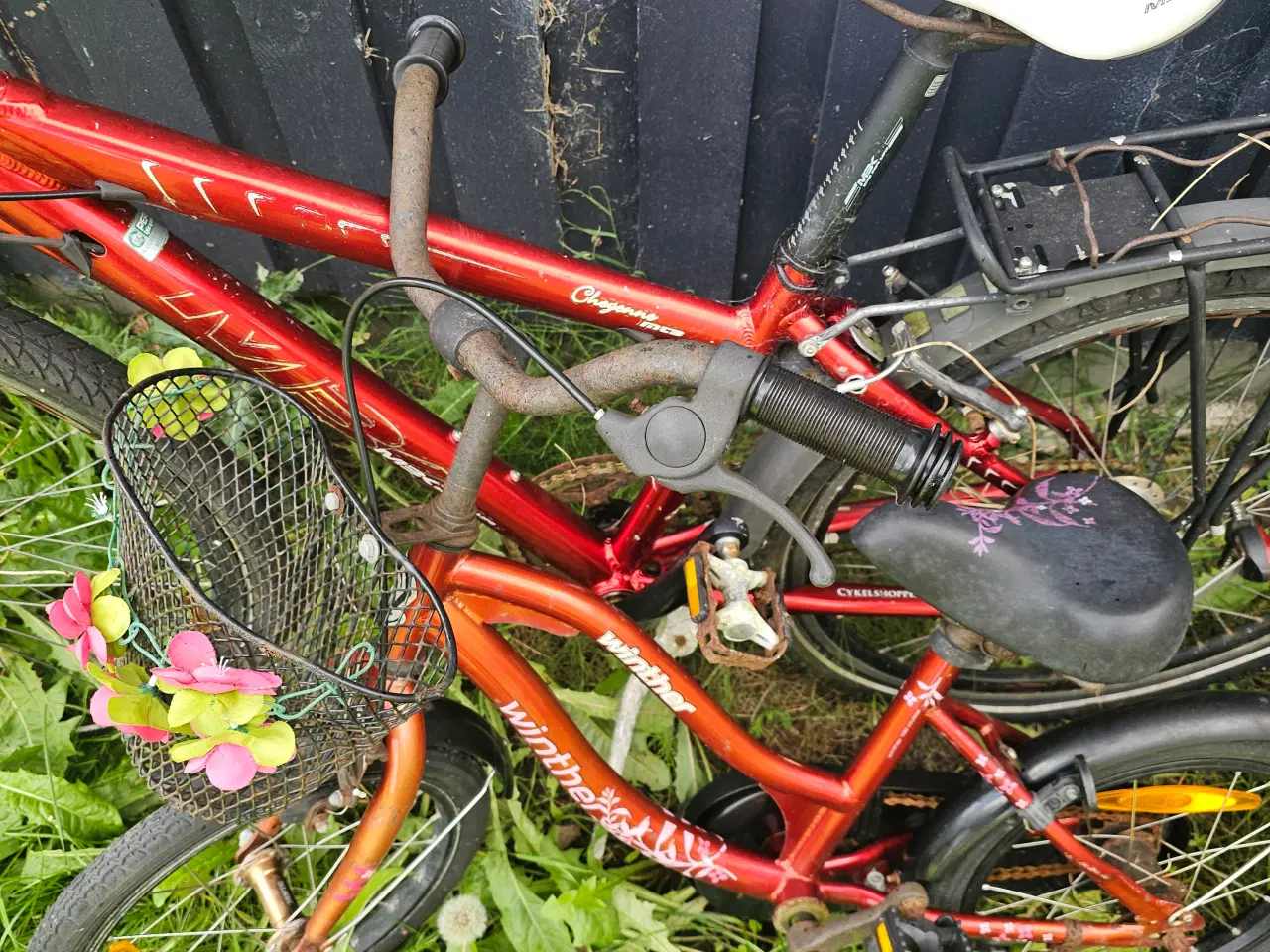 Billede 3 - Billige Cykler – 100kr stk. pris