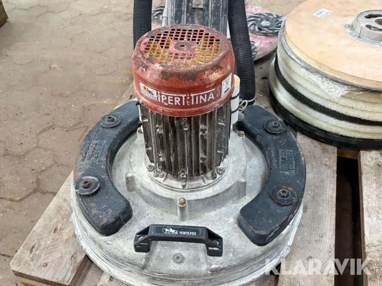 Billede 3 - Raimondi