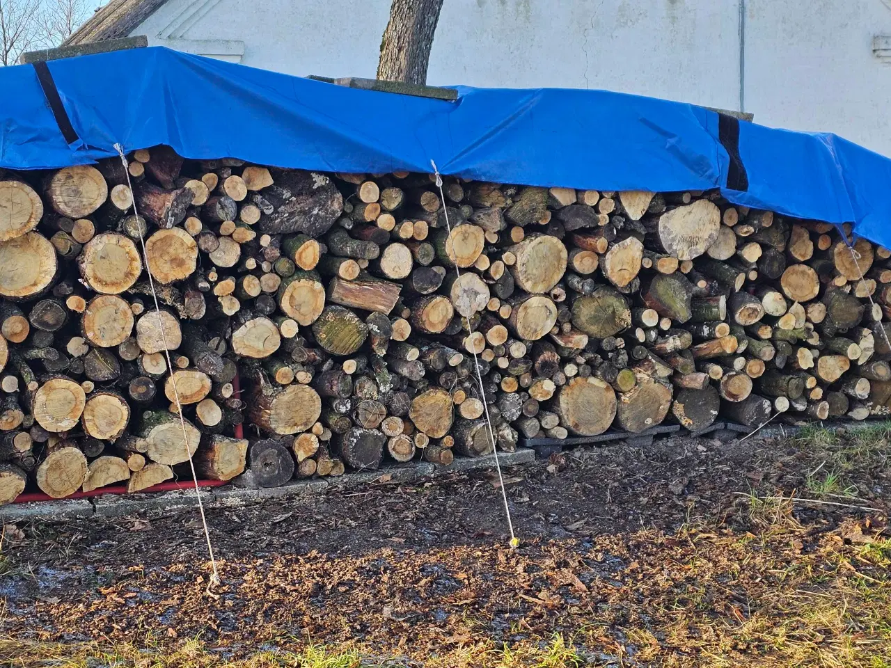 Billede 3 - Egetræ brænde 