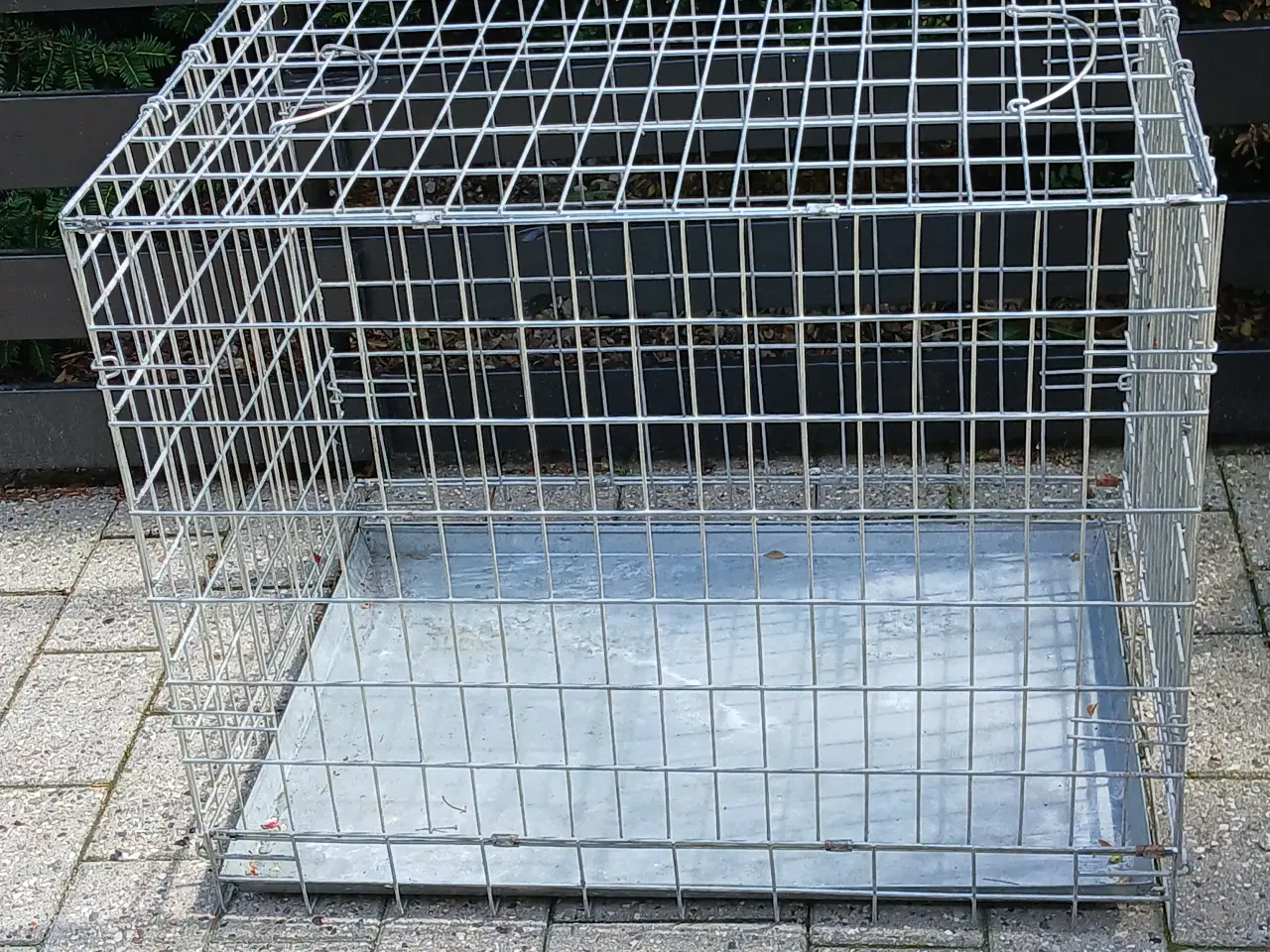 Billede 1 - Transportbur til hunde