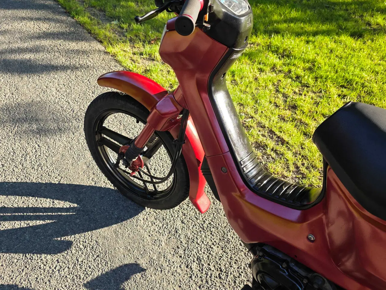 Billede 4 - Honda wallaroo 