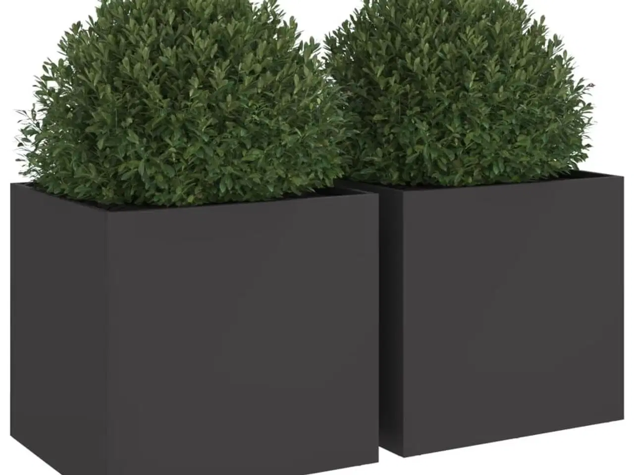 Billede 4 - Plantekasser 2 stk. 49x47x46 cm stål sort