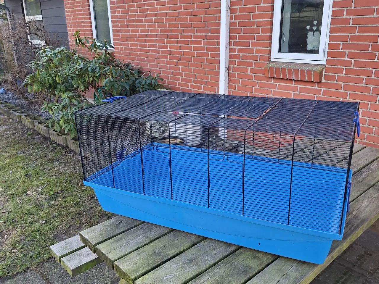 Billede 2 - Marsvin bur 