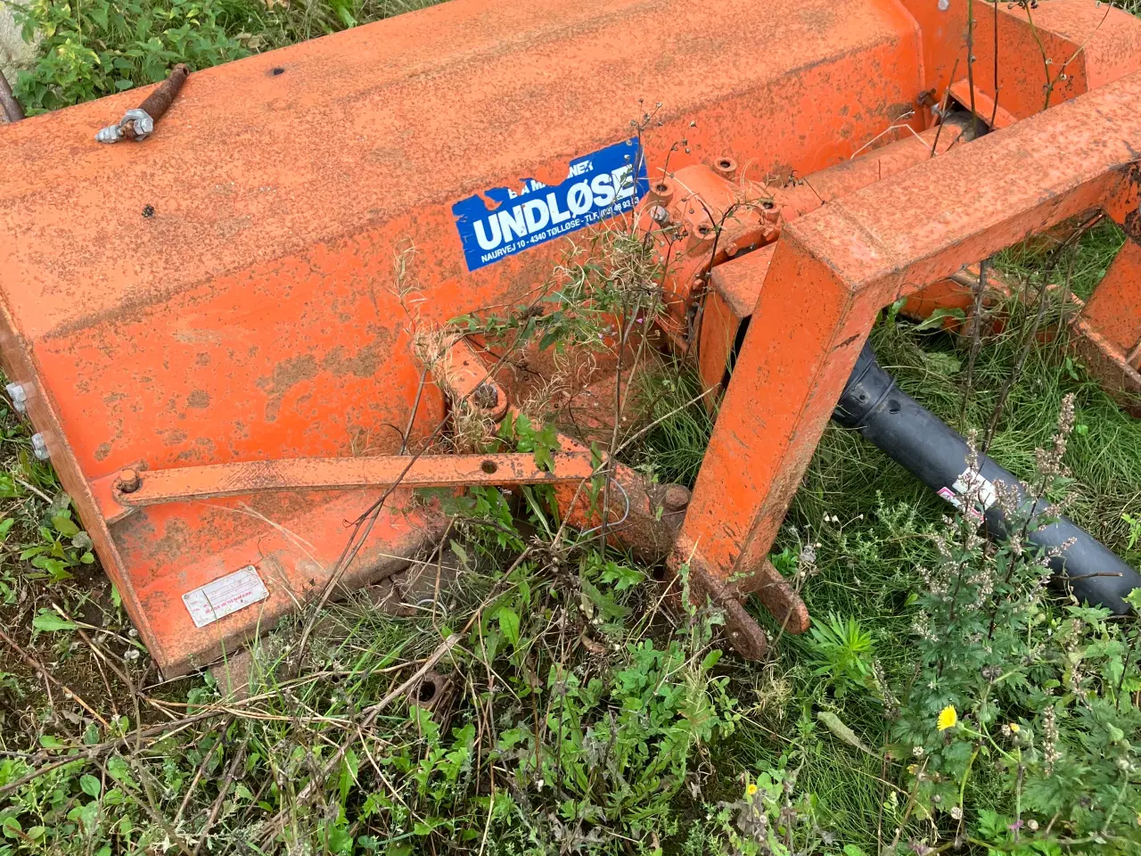 Billede 2 - Grenknuser. Undløse