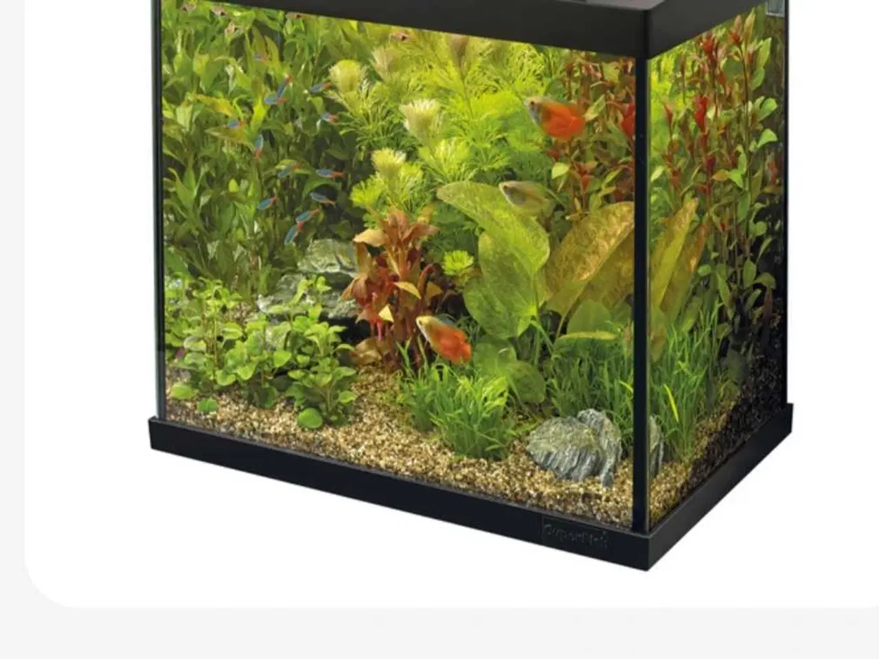 Billede 1 - Akvarier 45L 