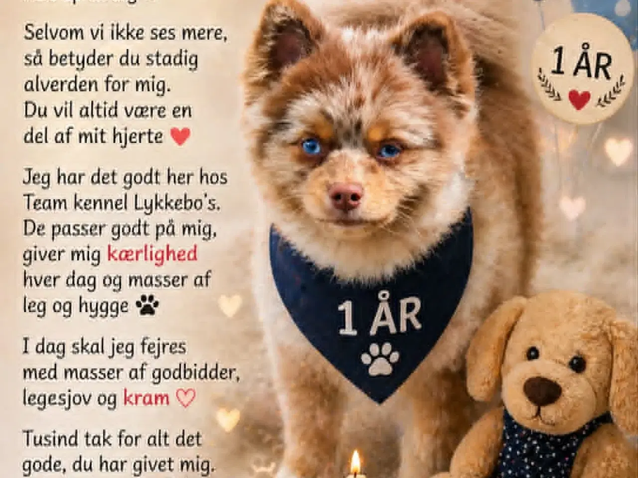 Billede 1 - 🐾 Pepsi søger sit for evige hjem 🐾