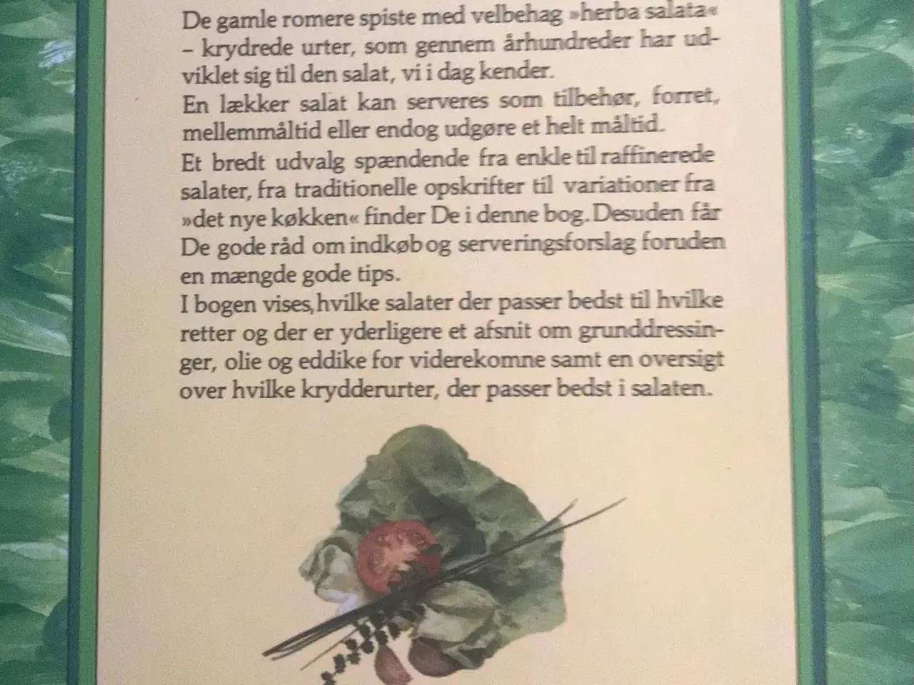 Billede 2 - Lademanns salatbog