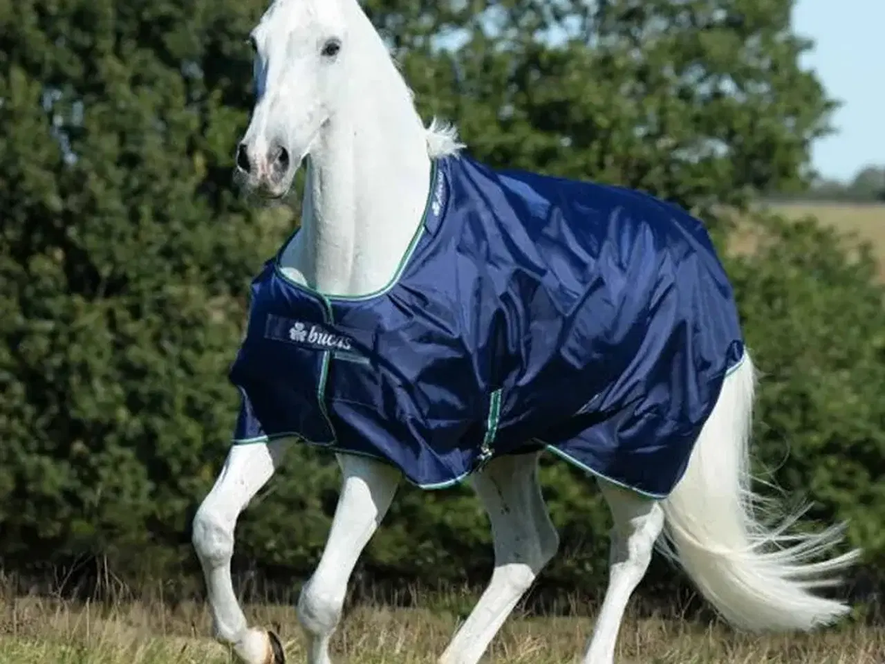 Billede 1 - Bucas str 125 udedækken