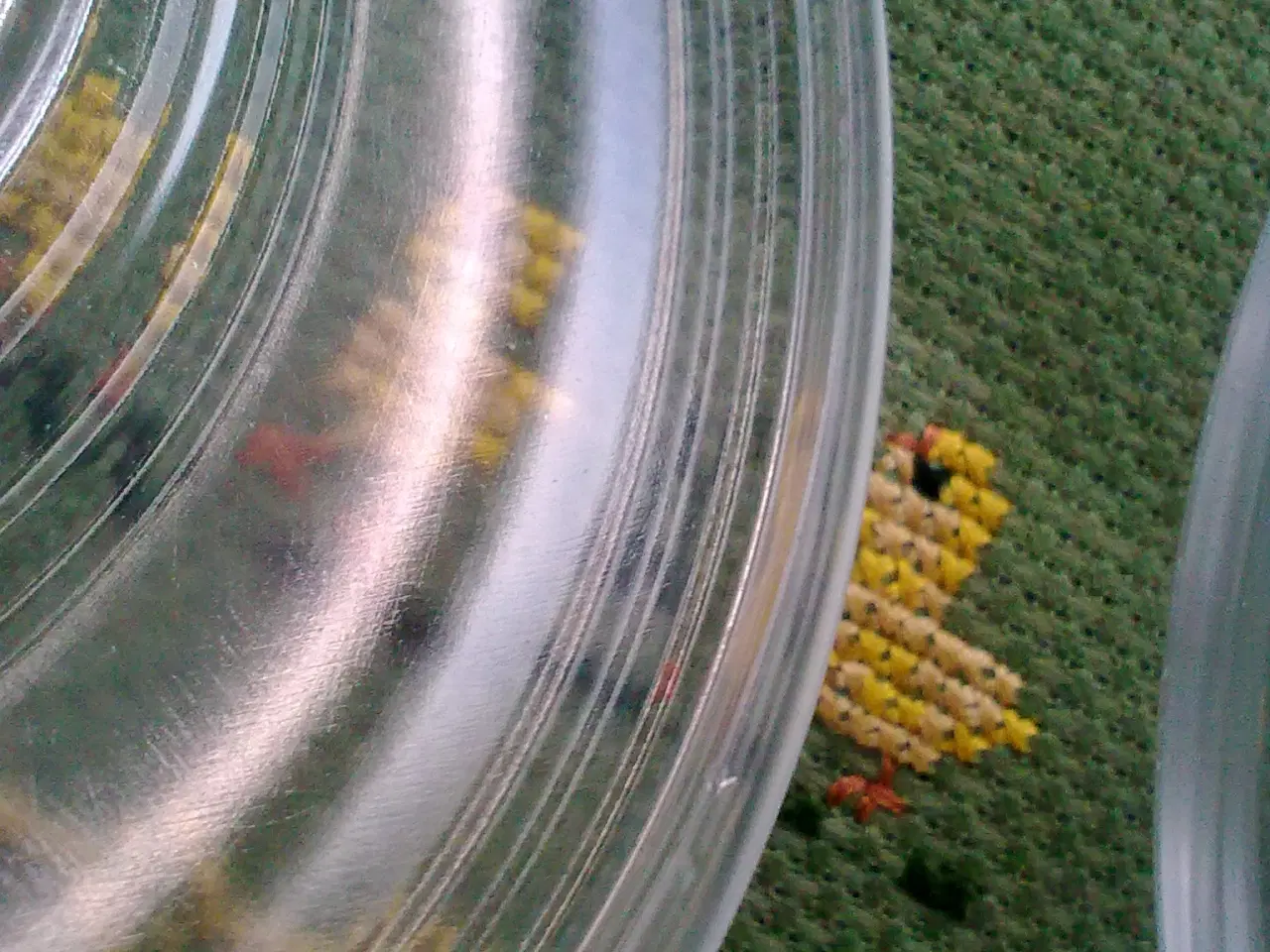 Billede 4 - Påskelilje underskål asiet 2 stk. gamle samlet