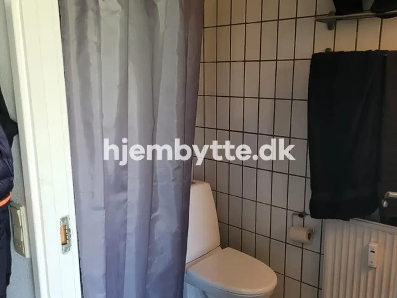 Billede 14 - Hjembytte - Enebærhegnet