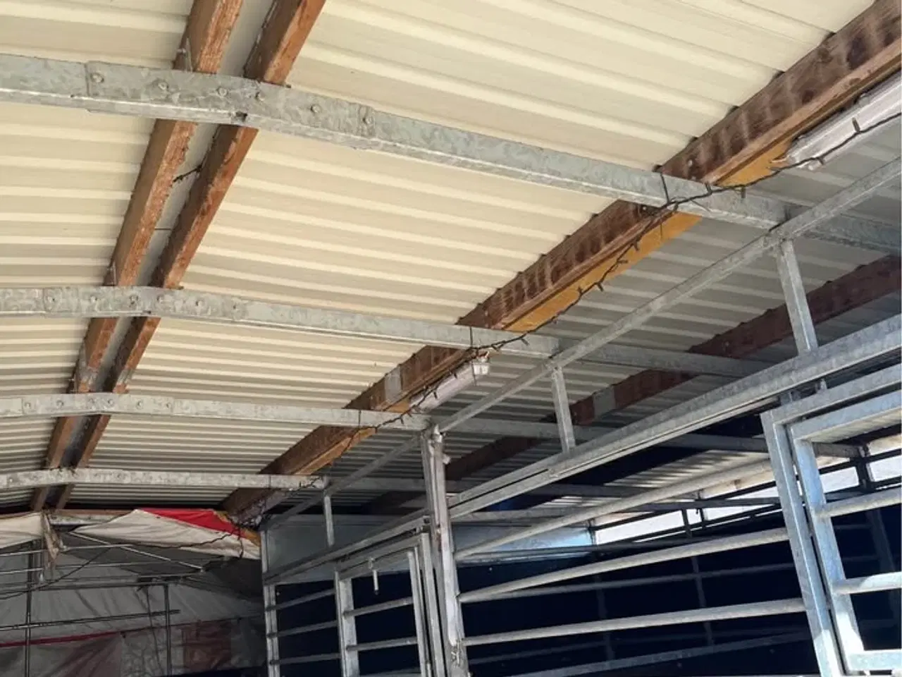 Billede 8 - Udestald 