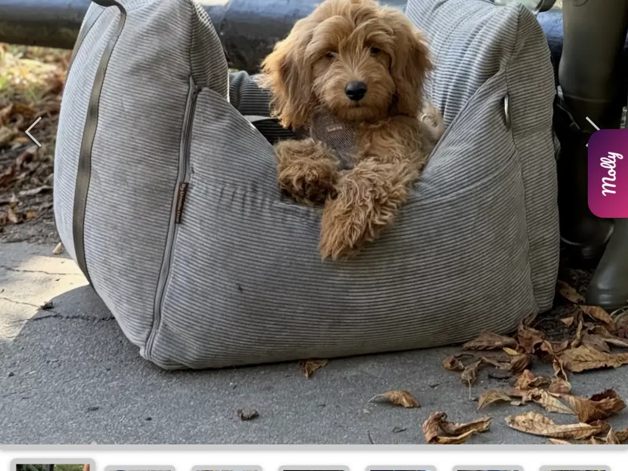 Billede 1 - Bjørk bilsæde til hunde grå