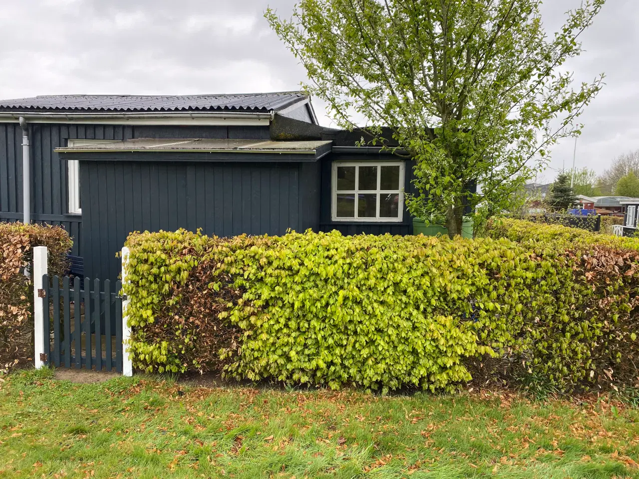 Billede 4 - Kolonihave til salg, Ankerhus 21 Kolding 