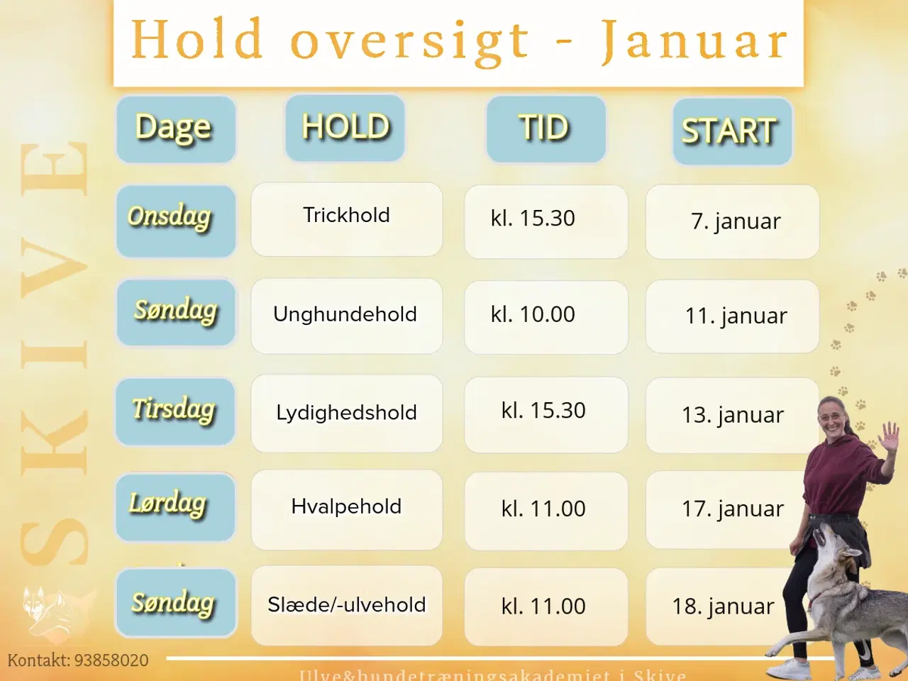 Billede 1 - Hundetræning i Skive