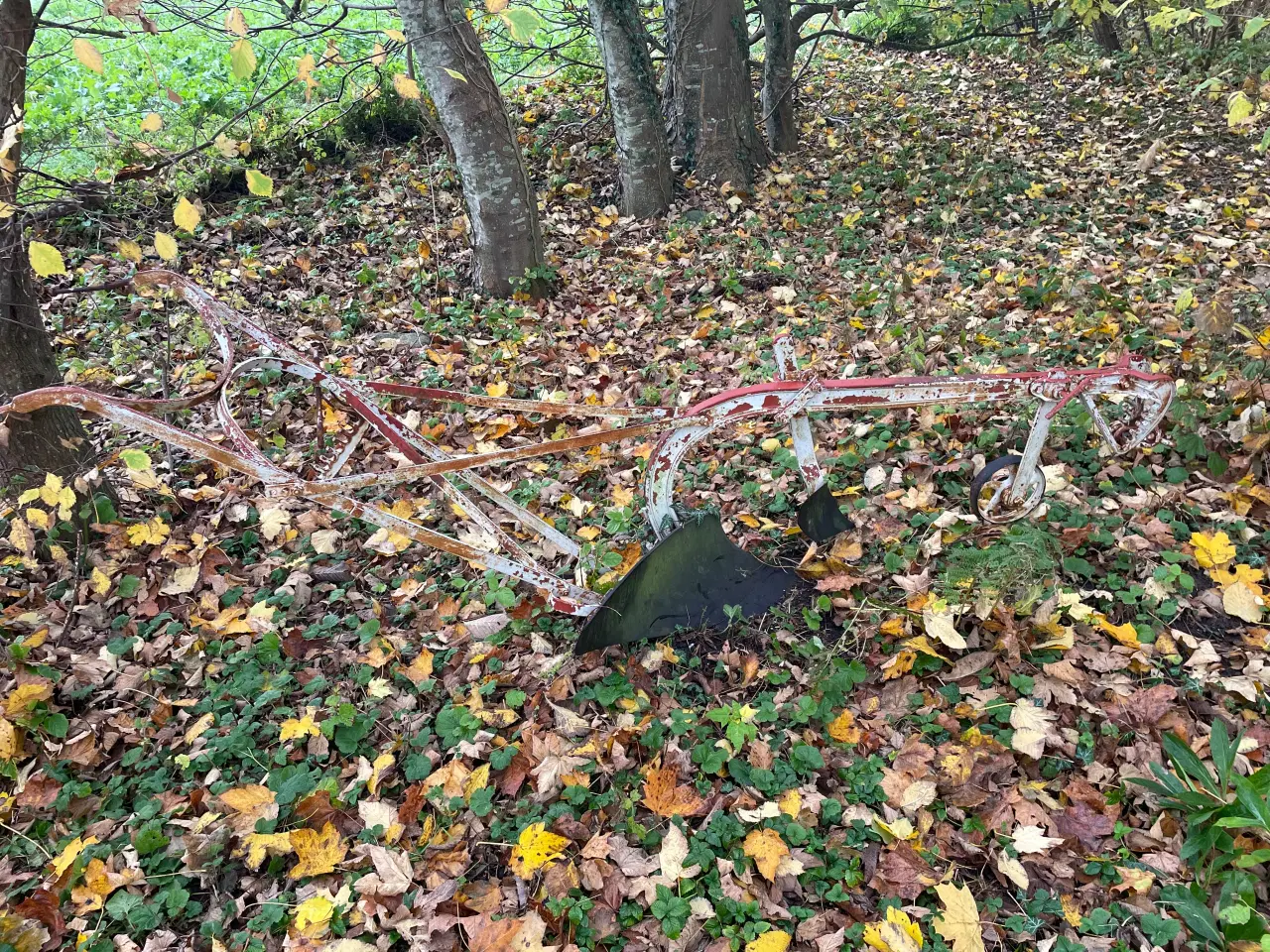 Billede 1 - En’ fuget plov