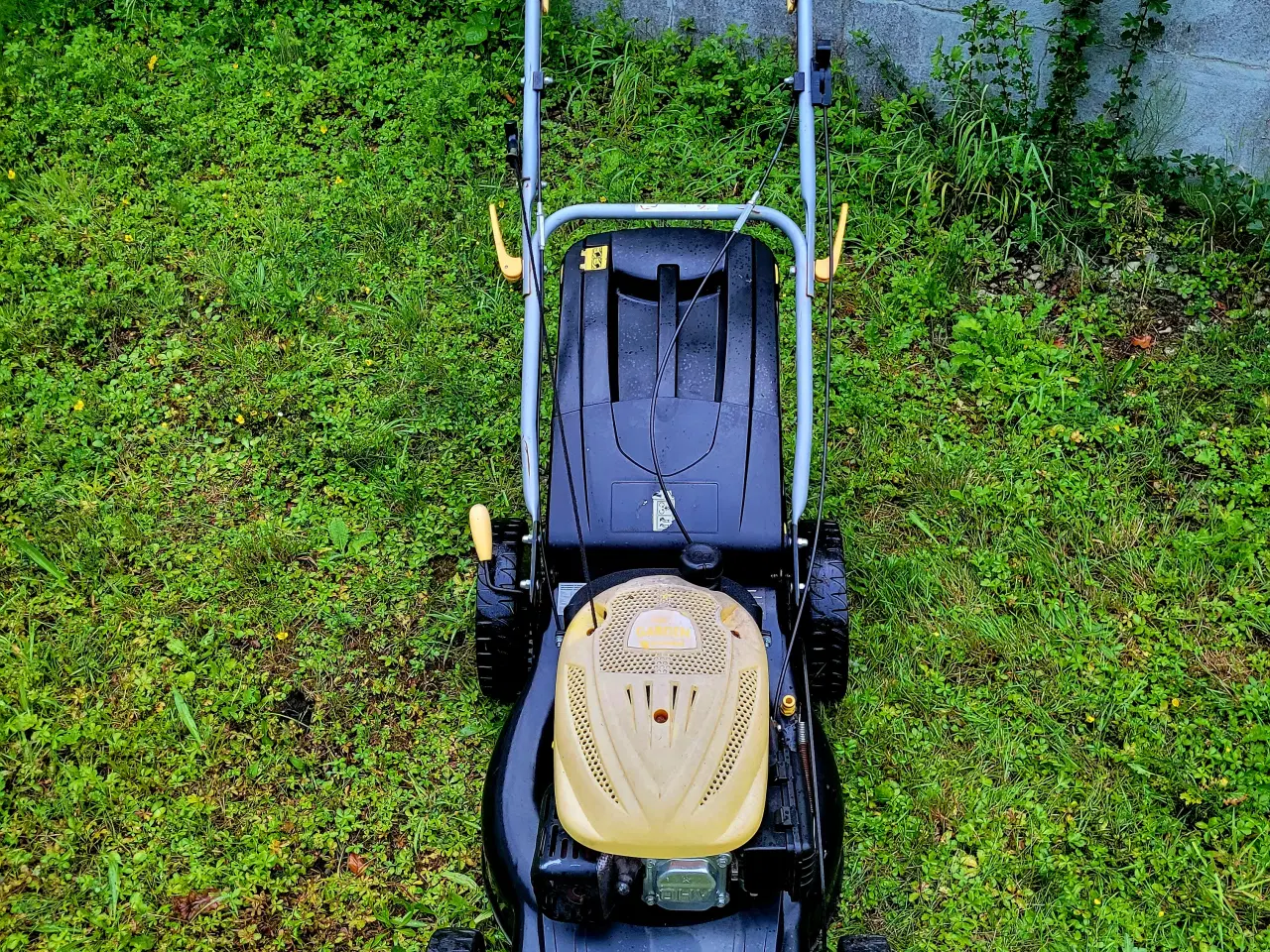 Billede 2 - Garden DYMIP70FE plæneklipper