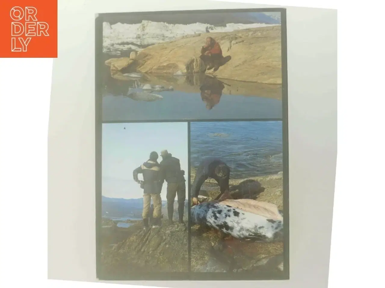 Billede 3 - Vandreture i Grønland af Torbjørn Ydegaard (Bog)