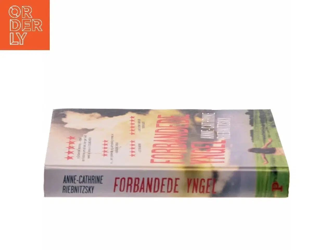 Billede 2 - Forbandede yngel af Anne-Cathrine Riebnitzsky (Bog)