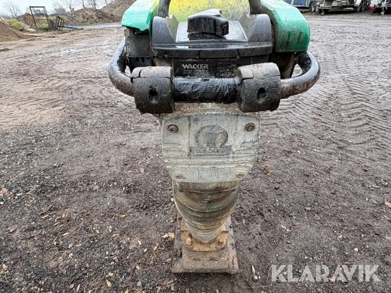 Billede 8 - Jordloppe Wacker BS 600