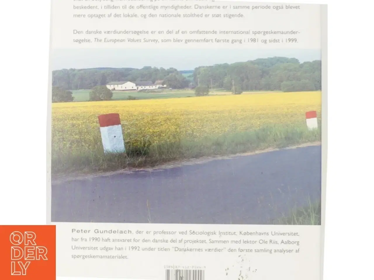 Billede 3 - Danskernes værdier 1981-1999 af Peter Gundelach (Bog)