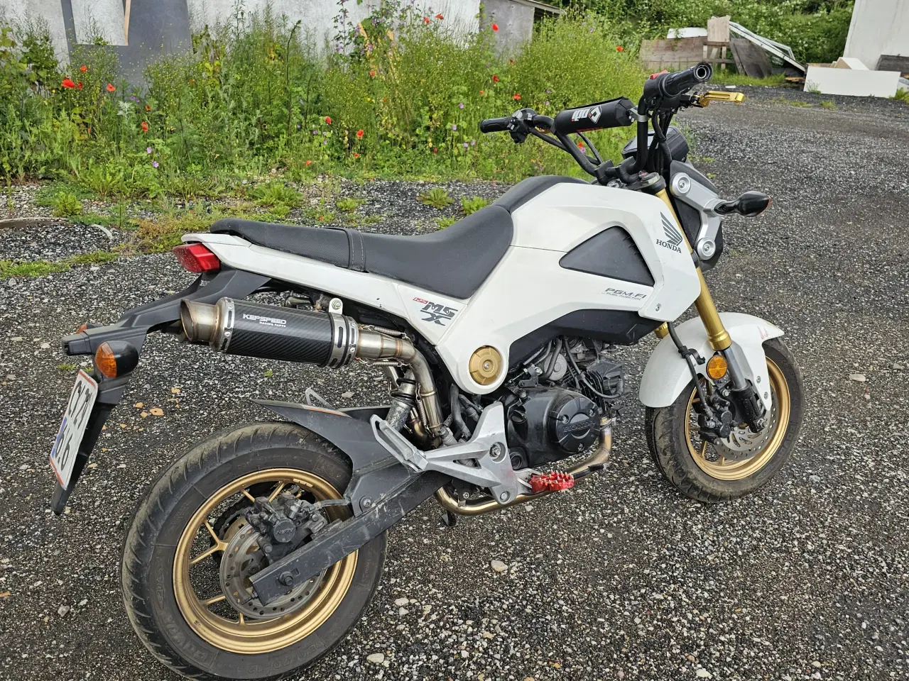 Billede 5 - Honda Msx 125 Grom 