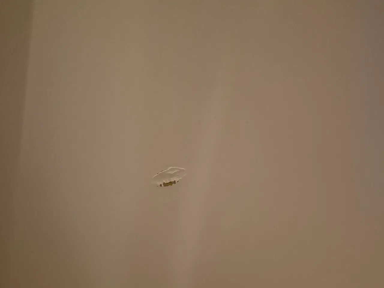 Billede 5 - Låger til IKEA Pax 50 eller 100 x 236 skabe.