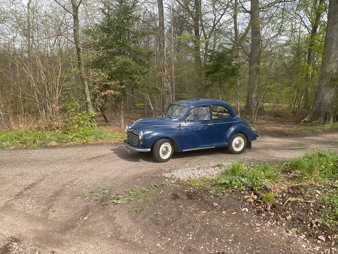 Billede 7 - Morris 1000
