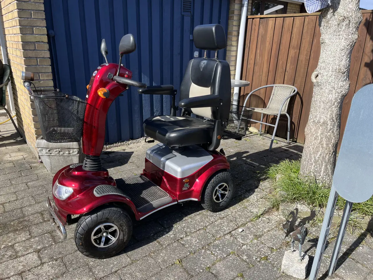 Billede 3 - Pegasus Sneppen