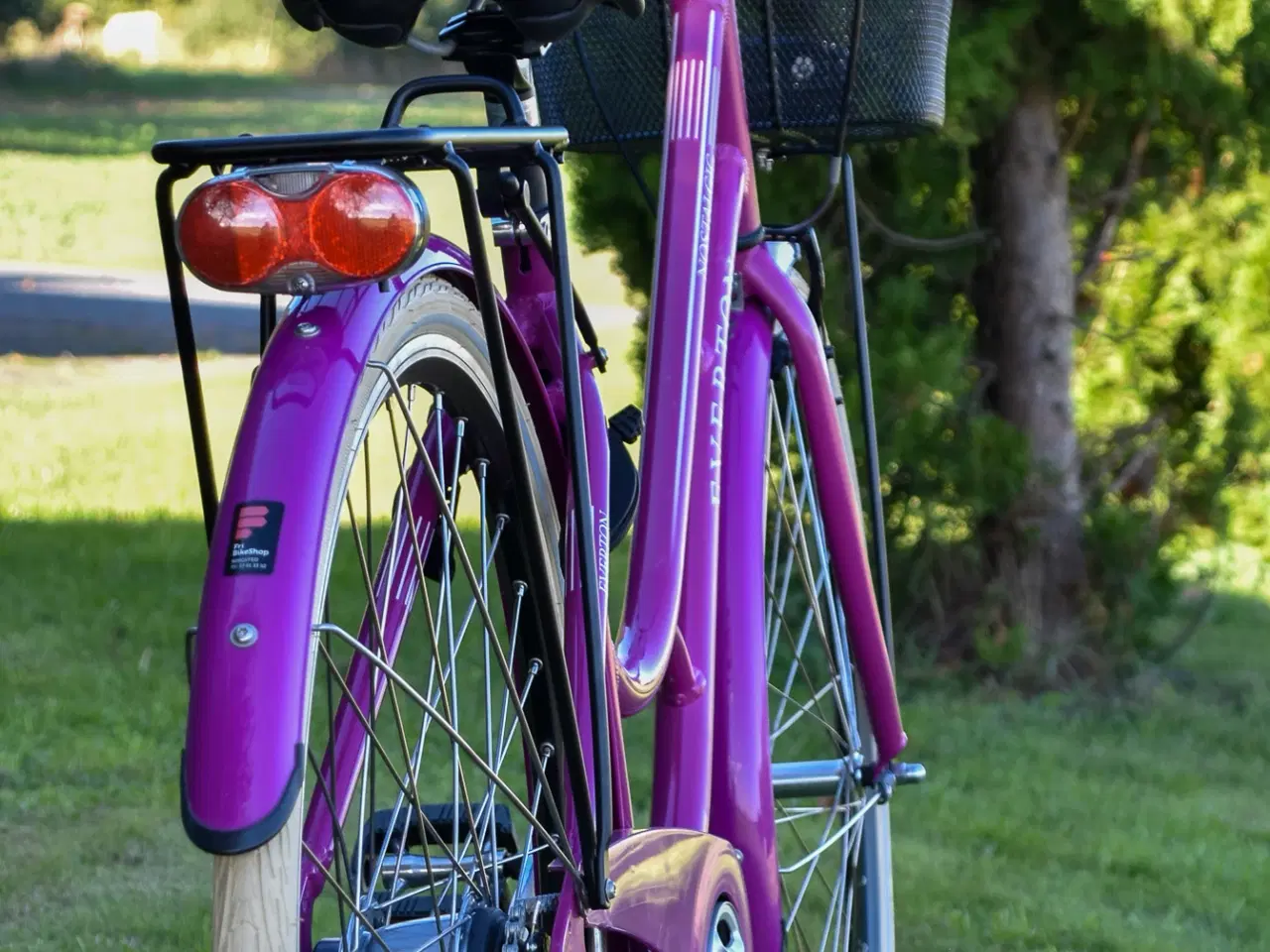 Billede 10 - Everton Nostalgic 7G 47CM