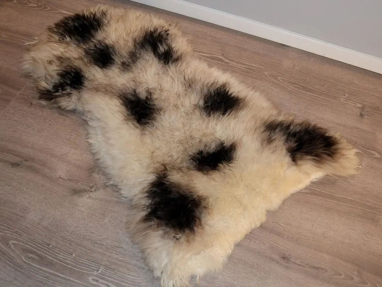 Billede 1 - Færøsk fåreskind