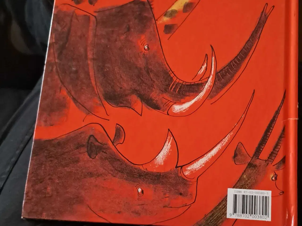 Billede 2 - Den glade løve i Afrika 