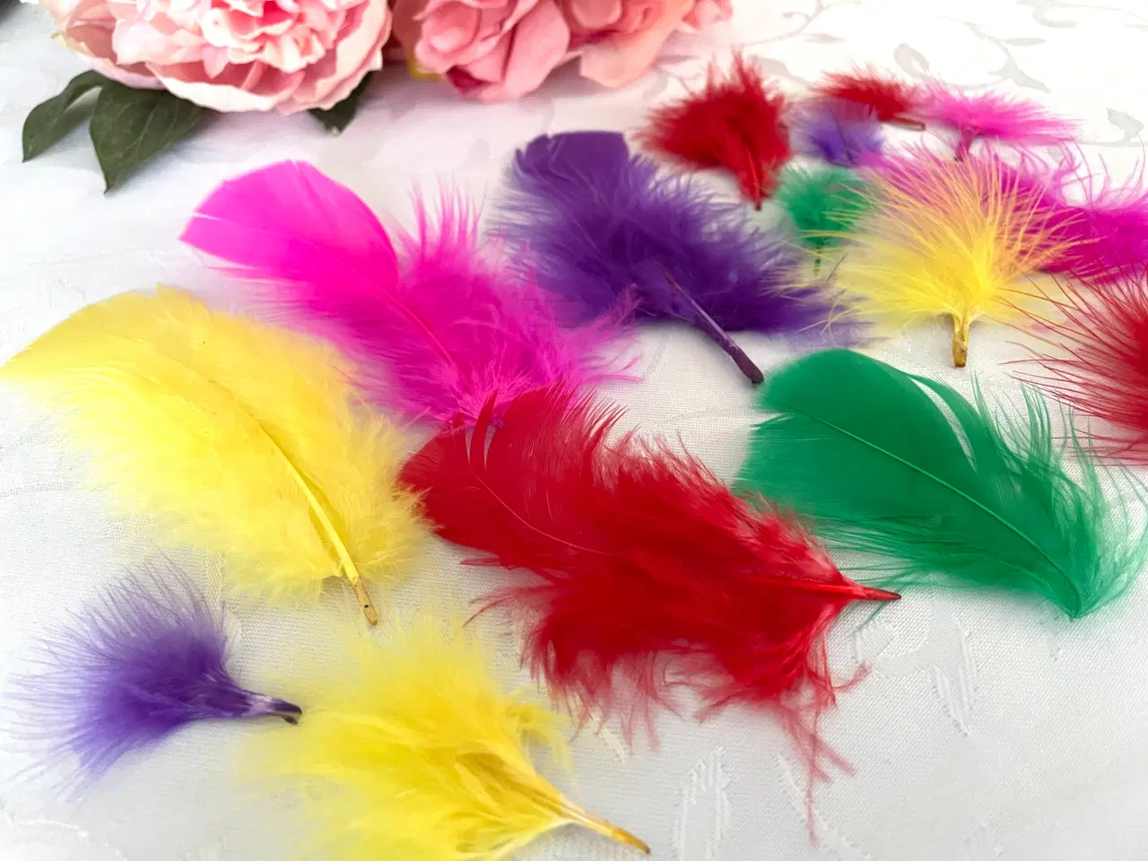 Billede 3 - Blandet fjer 