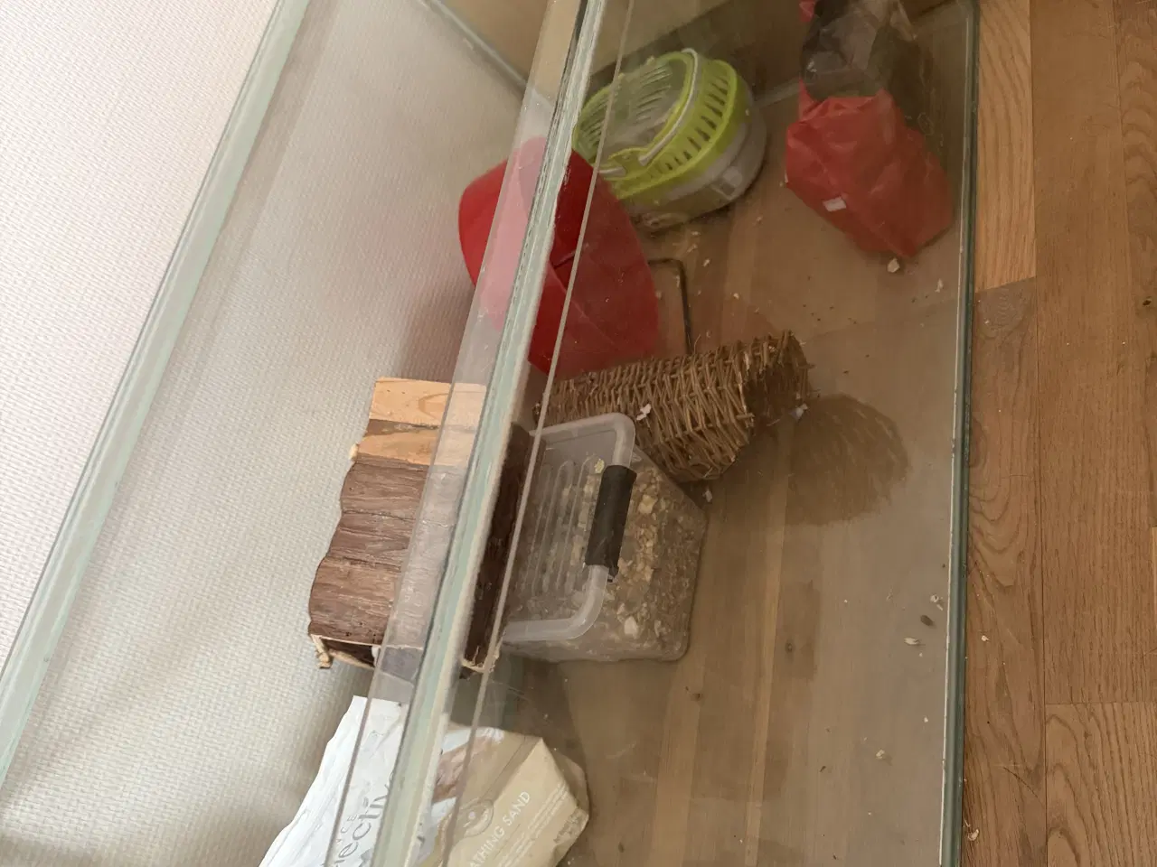 Billede 7 - 2 Guldhamster 