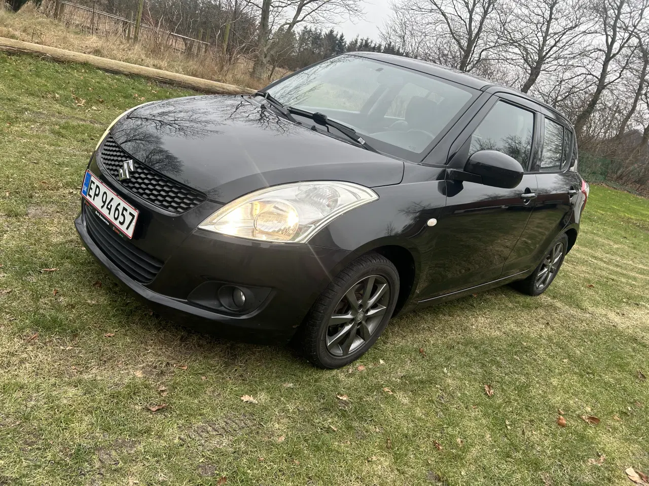 Billede 1 - Fin swift 2012