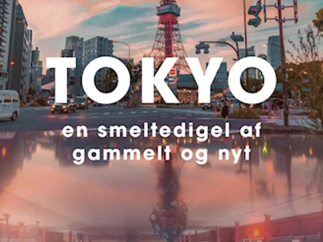 Billede 1 - Tokyo en smeltediget af gammelt og nyt.