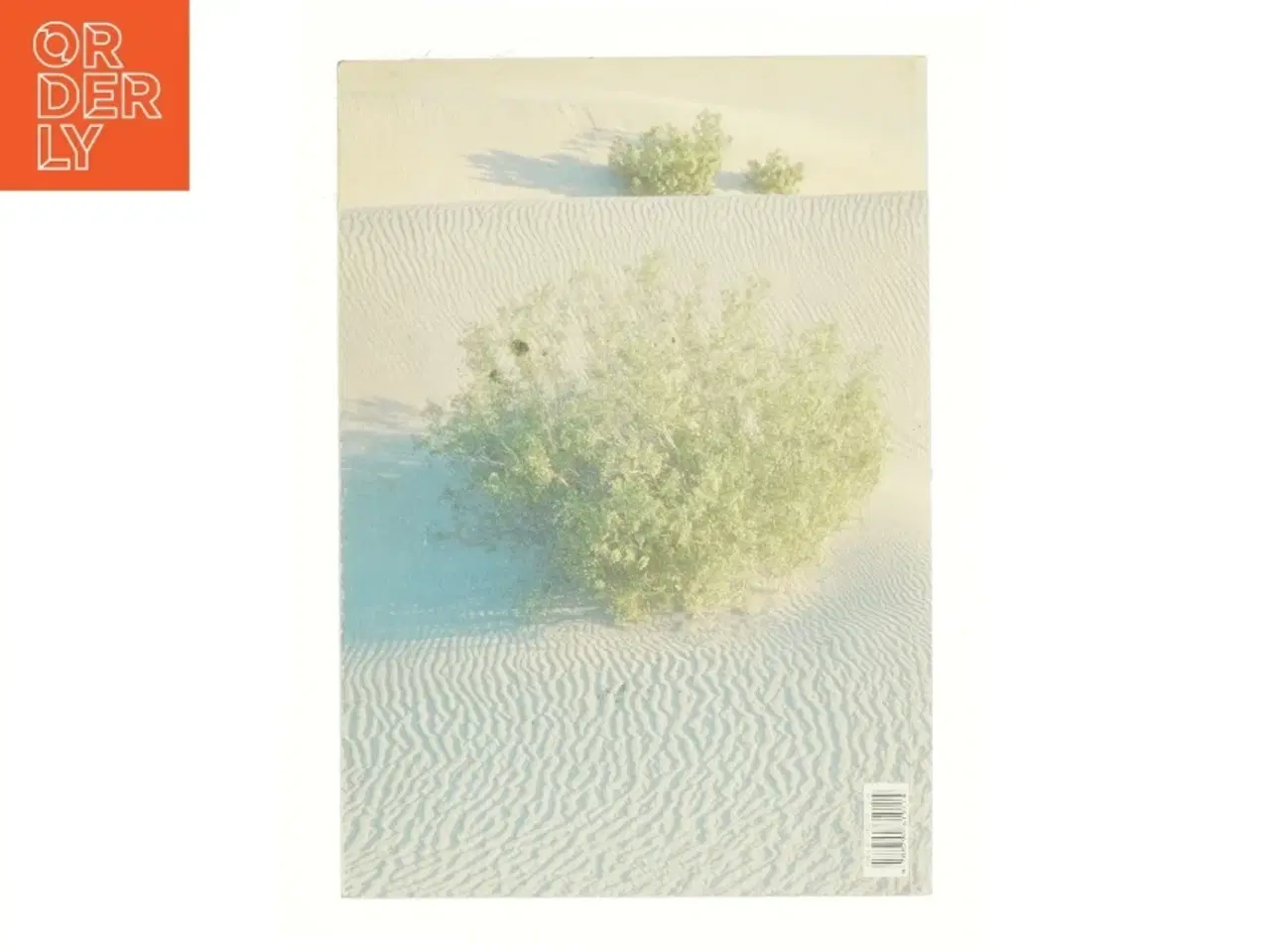 Billede 2 - Hvis kompetente barn?