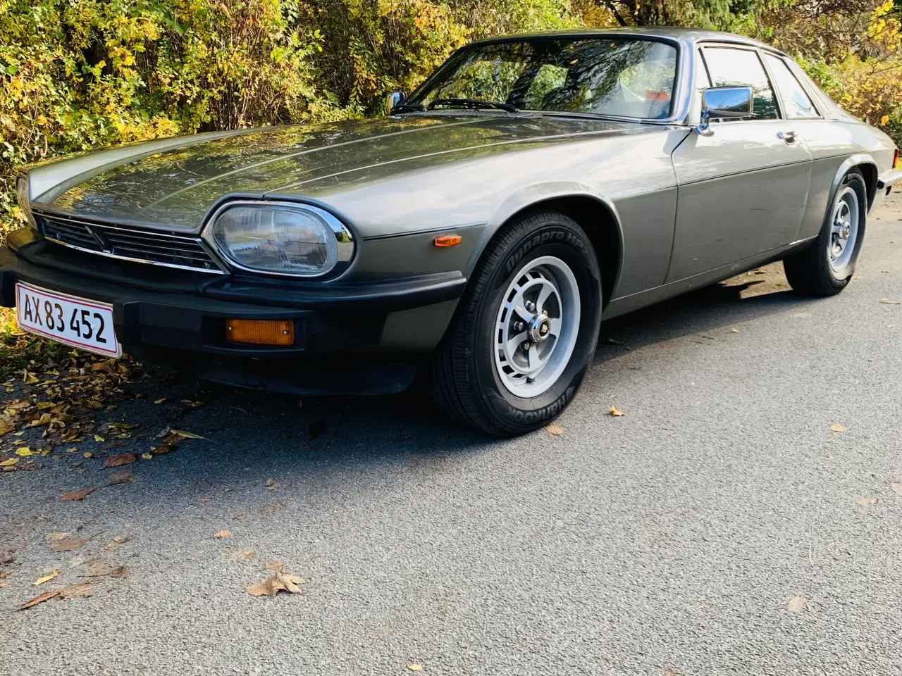 Billede 1 - Jaguar XJS 5,3 V12 1978