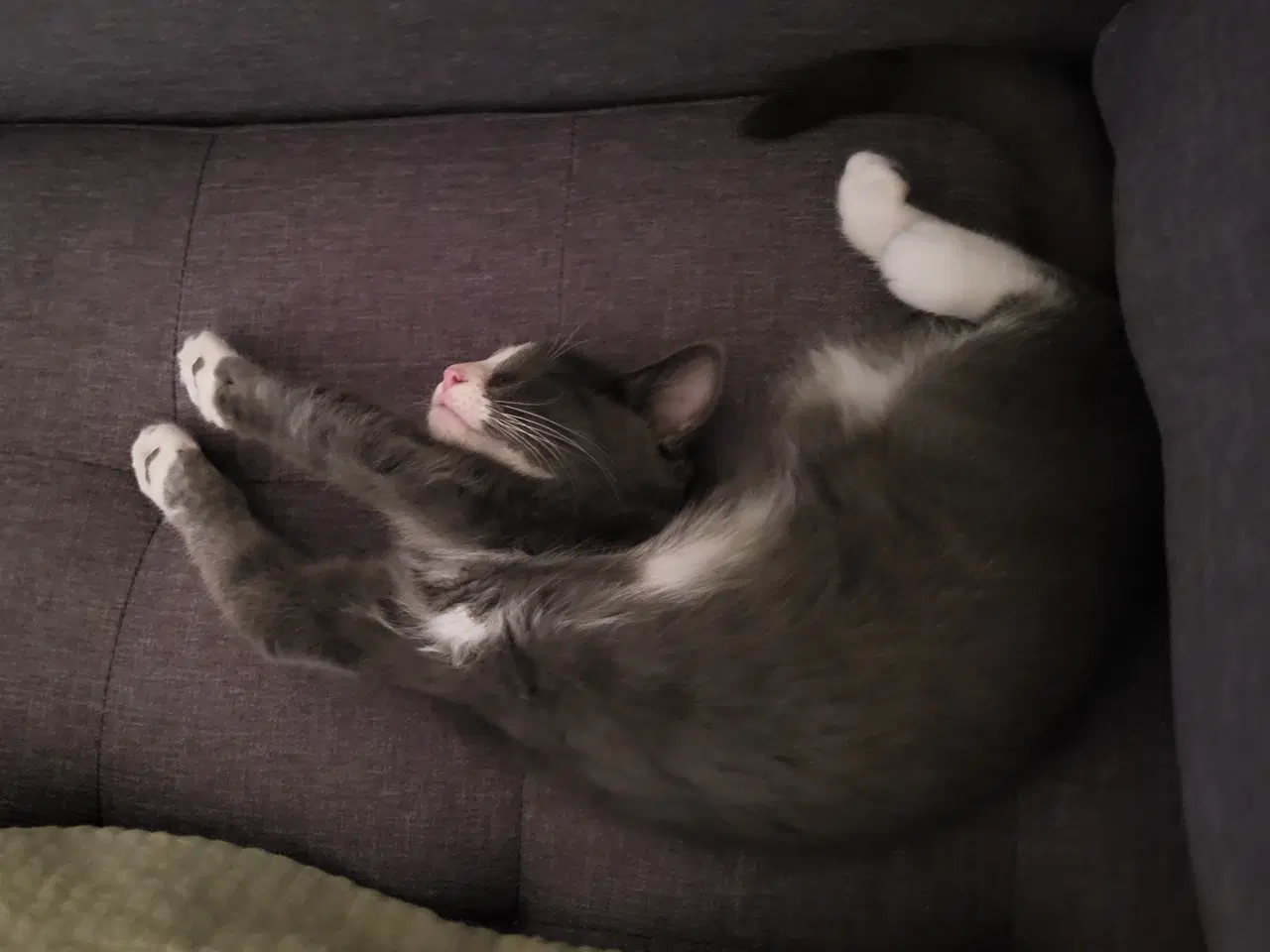 Billede 2 - Børnevenlig pige